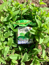 Load image into Gallery viewer, Mint Jelly