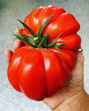 Load image into Gallery viewer, Tomato Preserves