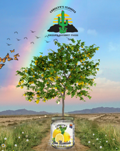 Load image into Gallery viewer, Lemon Marmalade