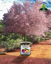 Load image into Gallery viewer, Plum Jam
