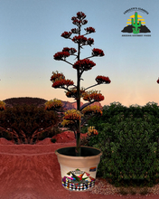 Load image into Gallery viewer, Piñata Bliss Jam