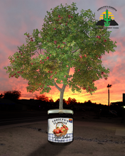 Load image into Gallery viewer, Apple Butter