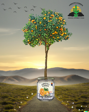 Load image into Gallery viewer, Orange Marmalade