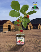 Load image into Gallery viewer, Strawberry Preserves