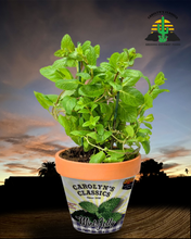 Load image into Gallery viewer, Mint Jelly