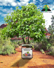 Load image into Gallery viewer, Fig Jam