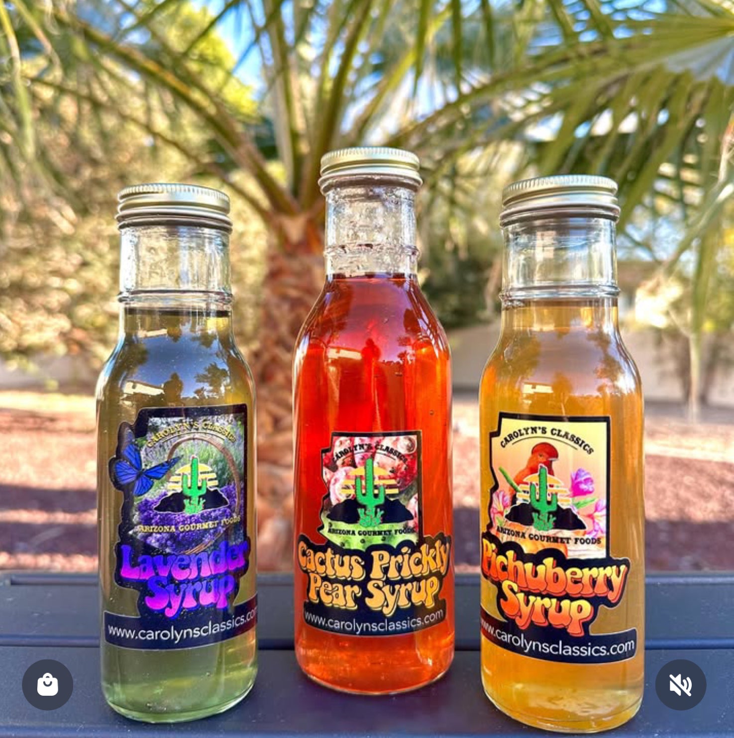 スポドリ Amazing Syrup Trio – carolynsclassics