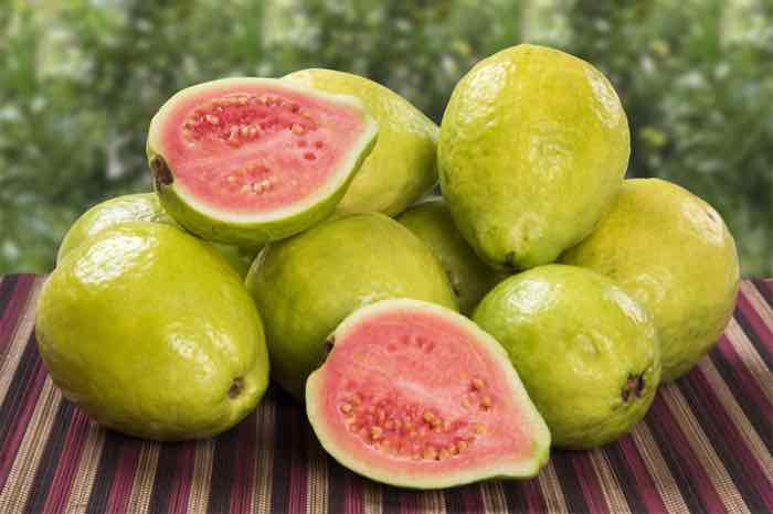 Guava Jelly carolynsclassics Guava Jelly carolynsclassics