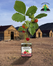 Load image into Gallery viewer, Strawberry Preserves

